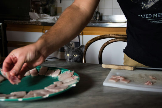 Raw Diets for Cats: Pros, Cons & Safety Tips